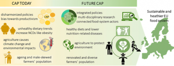 More sustainable and healthier food systems in Europe (scientific article)