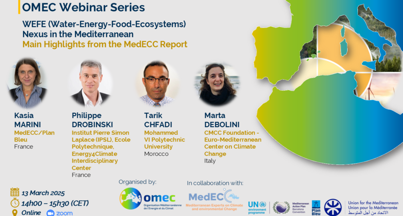 Read more about the article Webinar: WEFE (Water-Energy-Food-Ecosystems) nexus in the Mediterranean